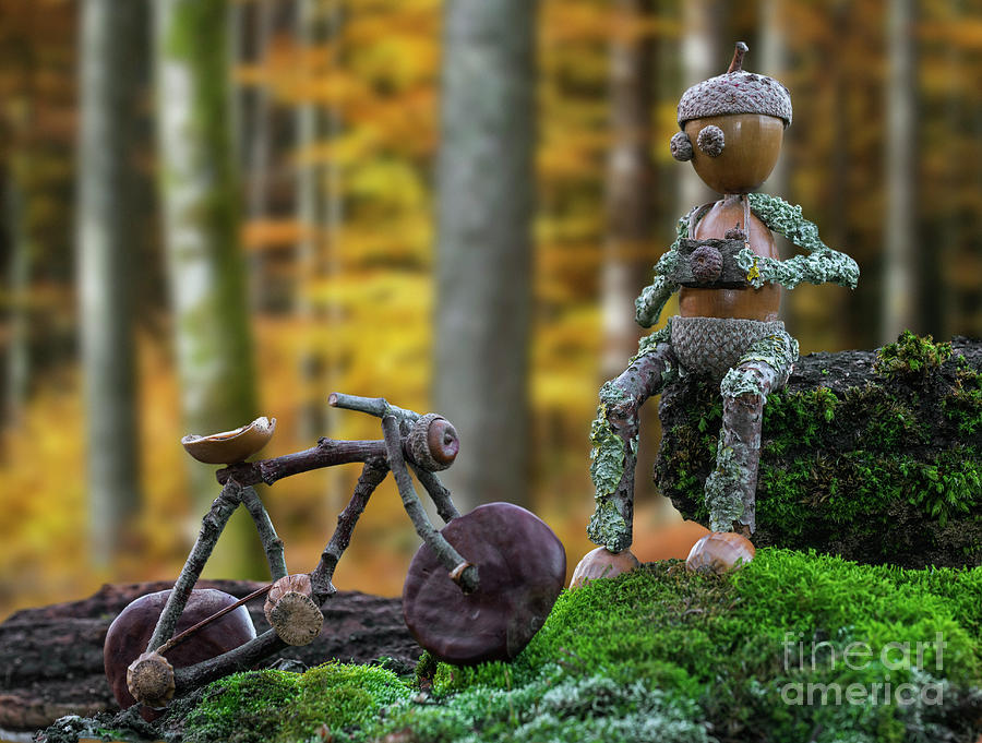 Little Acorn Man with Bike Photograph by Arterra Picture Library