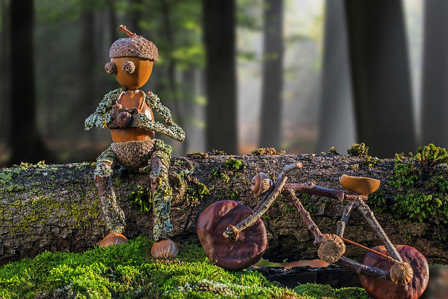 Little Acorn Photographer Taking a Break in Forest Photograph by Arterra Picture Library