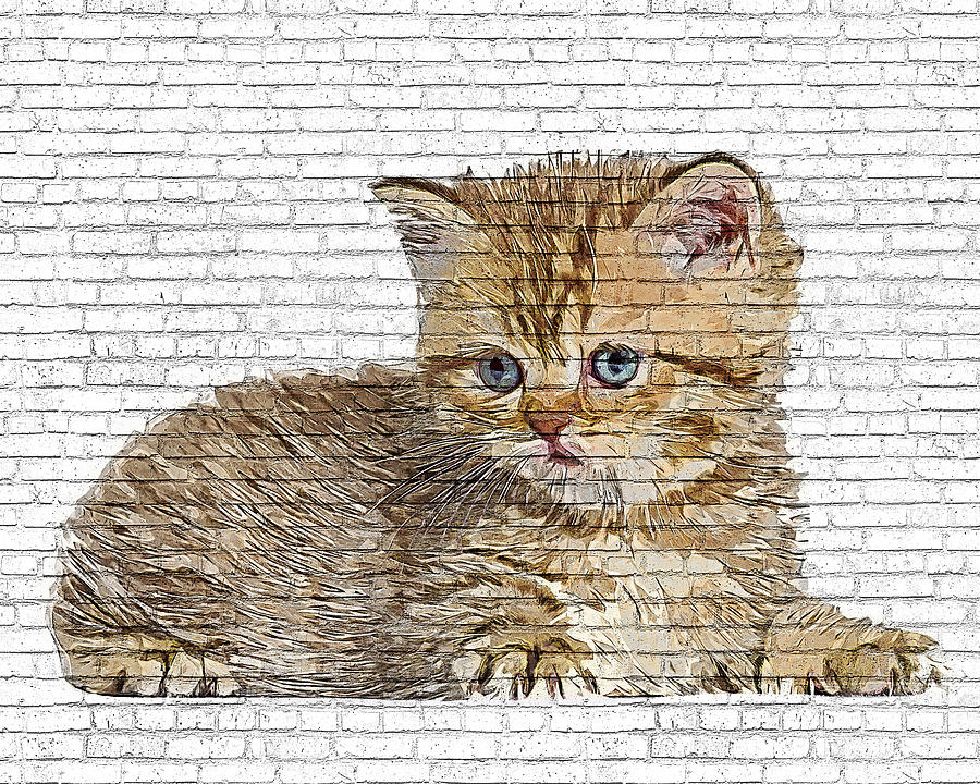 Little Angel, British Shorthair Kitten Cat - Brick Block Background Painting by Custom Pet Portrait Art Studio