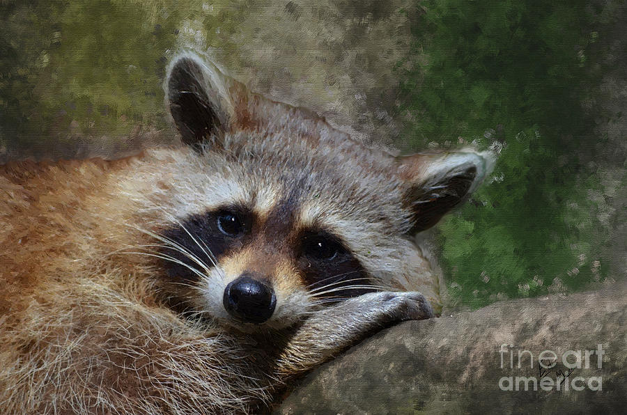 Little Bandit Painting by William Mace