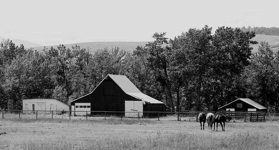 Little Barn and Farm Black and White Photograph by Cathy Anderson