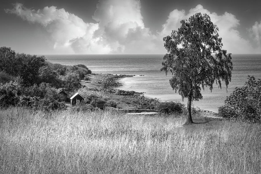 Little Barn on the Coast Black and White Photograph by Debra and Dave Vanderlaan