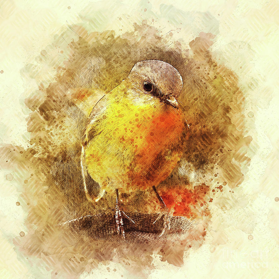 Little Bird Digital Art by Denise Dundon