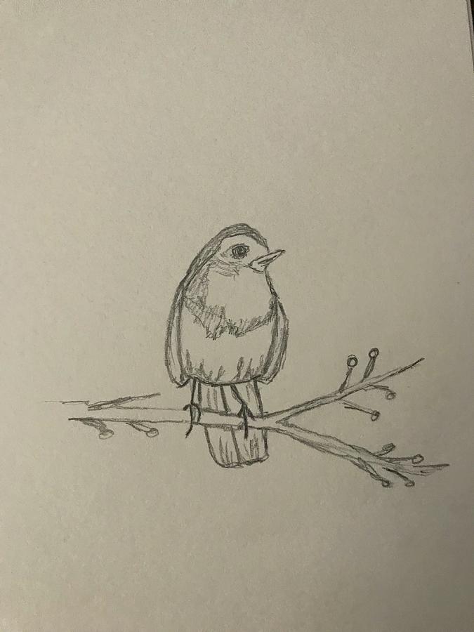 Little Bird Drawing Drawing by Rene' Eubanks - Fine Art America
