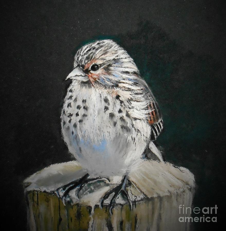 Little Bird II Pastel by Angela Cartner