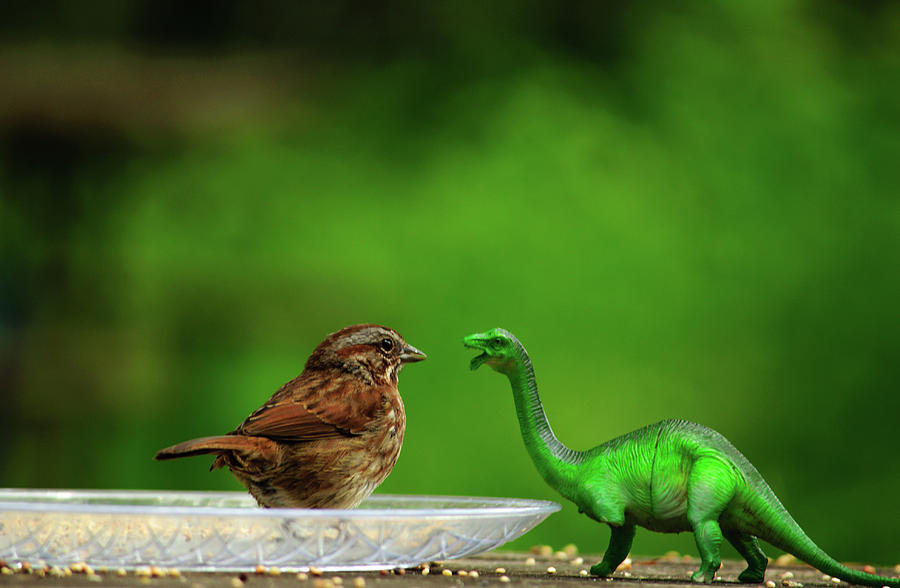 Little Bird Meets Dino Photograph by Tikvahs Hope