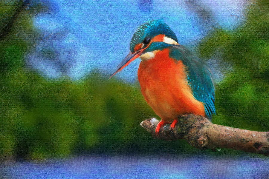 Little Birds that Fish - Kingfisher Digital Art by Russ Harris