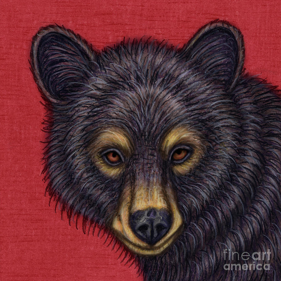 Little Black Bear Painting by Amy E Fraser