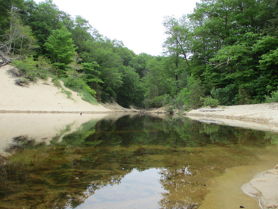 Little Black Creek Photograph by Elizabeth Gregurich | Pixels