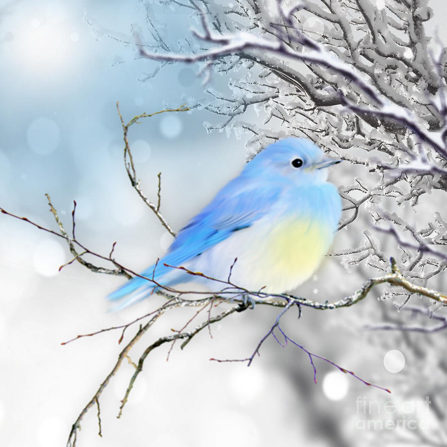 Little Blue Bird in Winter Mixed Media by Morag Bates