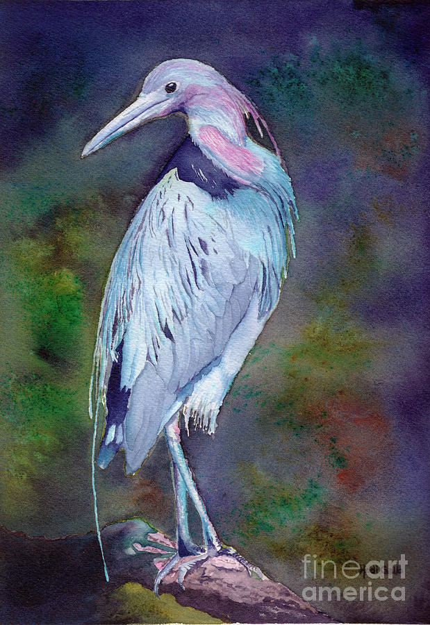 Little Blue Heron Painting by Heidi Gallo