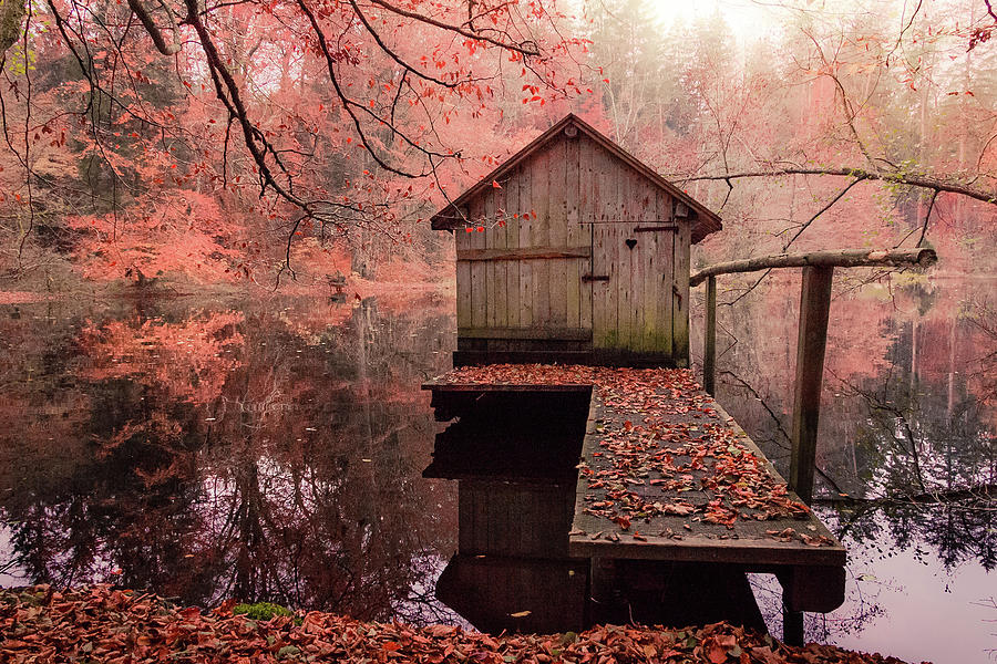 Little Boat House in Autumn Photograph by Alexander Kunz