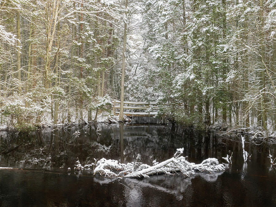 Little Bridge in the Woods at Bass River Photograph by Kristia Adams