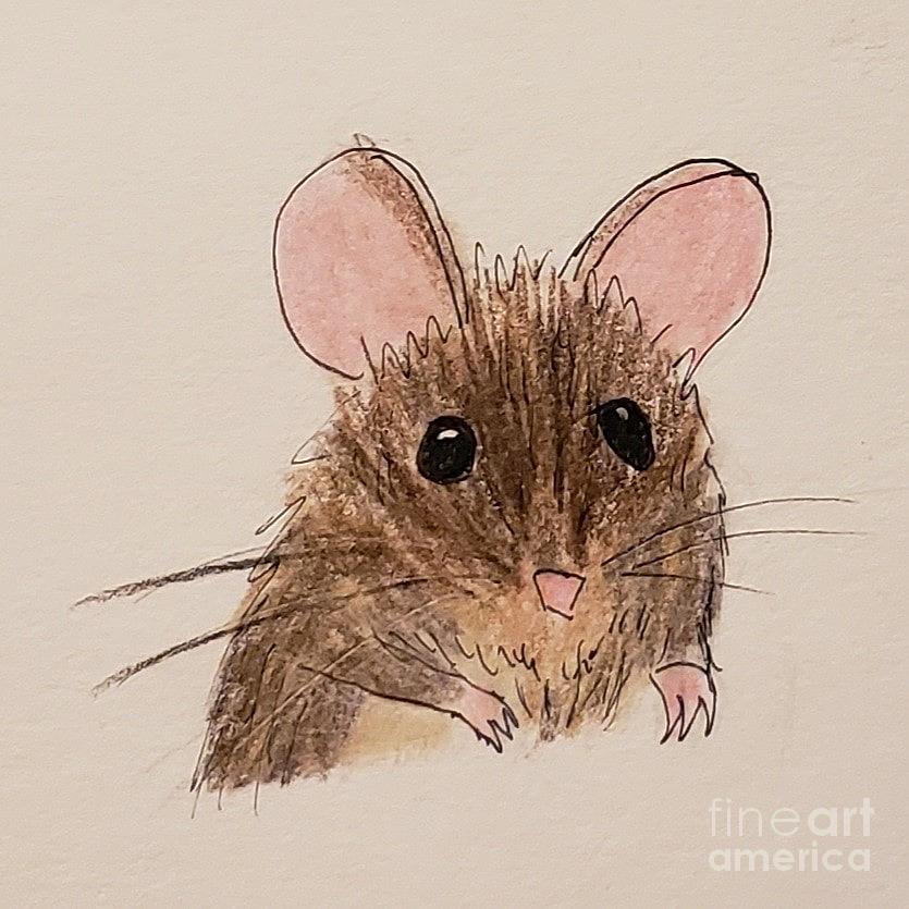 Little Brown Mouse Painting by C E Dill