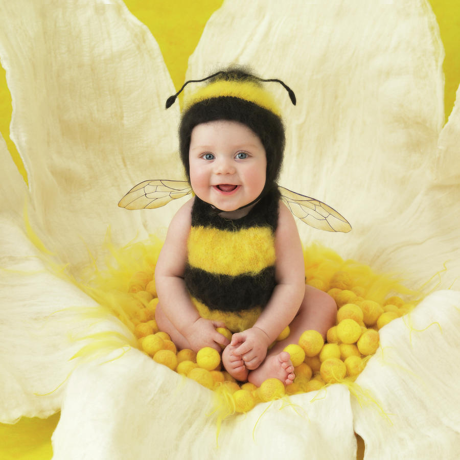 Flowers Still Life Photograph - Little Bumblebee by Anne Geddes