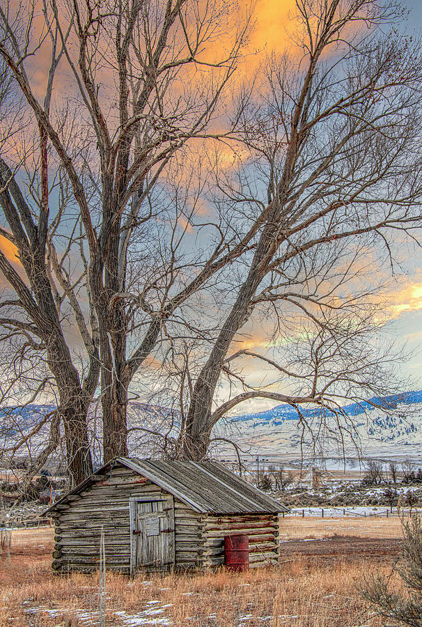 Little Cabin Along the Old Yellowstone Trail Photograph by Marcy Wielfaert