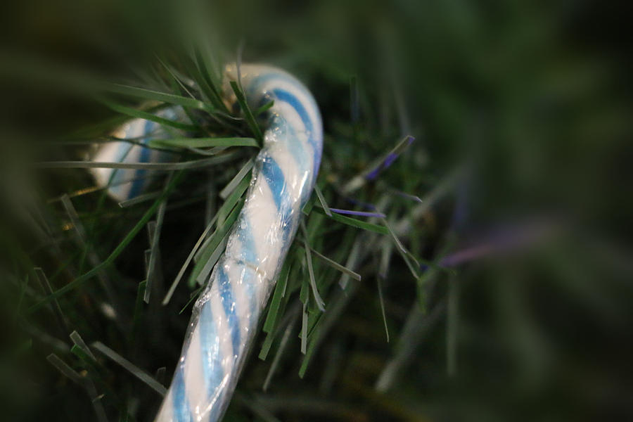 Little Candy Cane In Blue Photograph