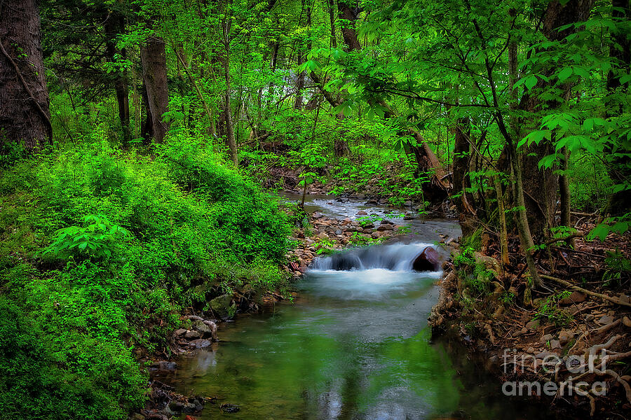 Little Cascade in Cherokee National Forest Photograph by Shelia Hunt