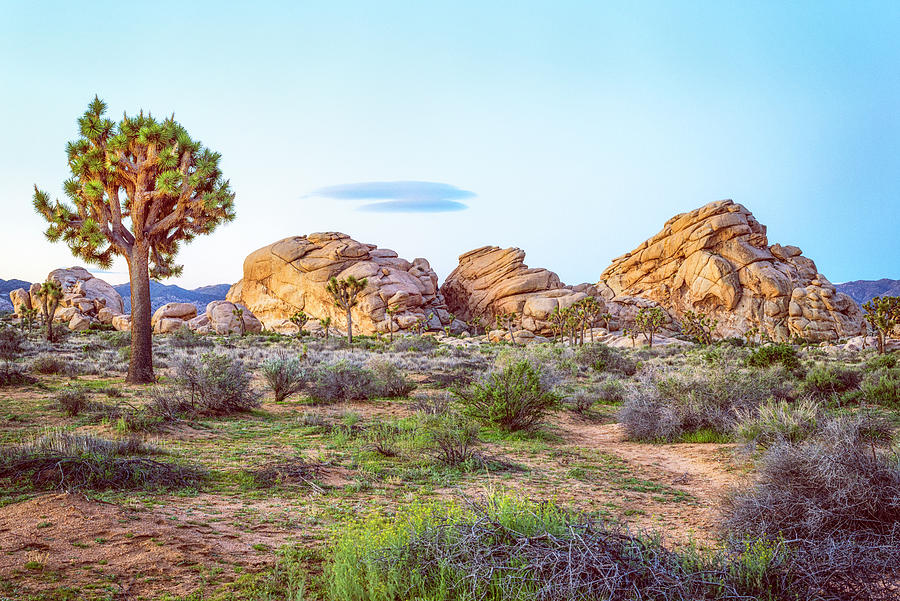 Little Cloud At Joshua Tree National Park Photograph by Joseph S Giacalone