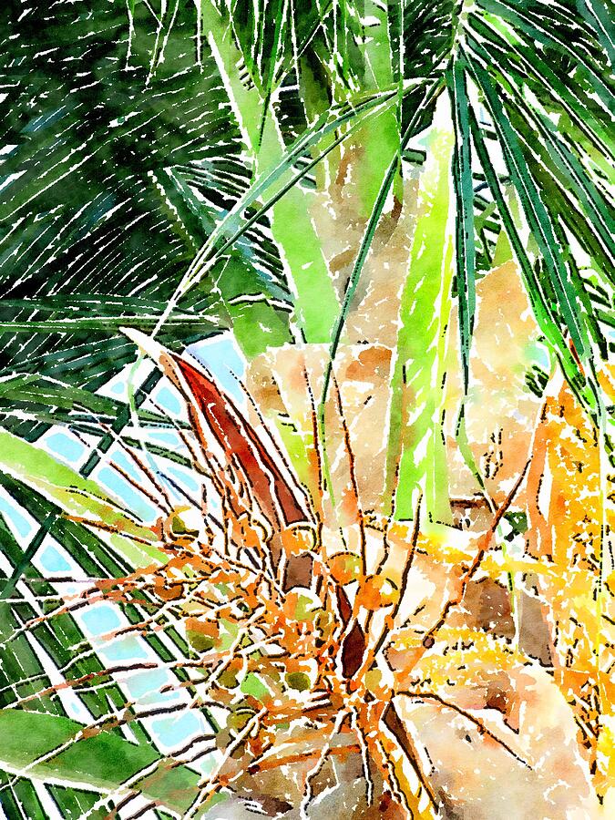 Little Coconuts Growing Photograph by Carlin Blahnik CarlinArtWatercolor