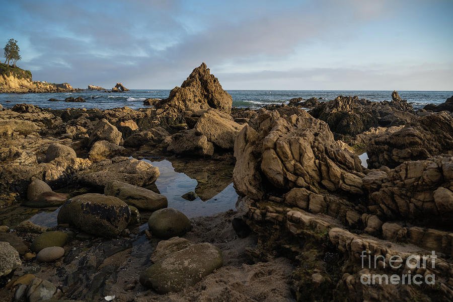 Rocky Tide Pools and Arch Rock Reflections Photograph by Abigail Diane Photography