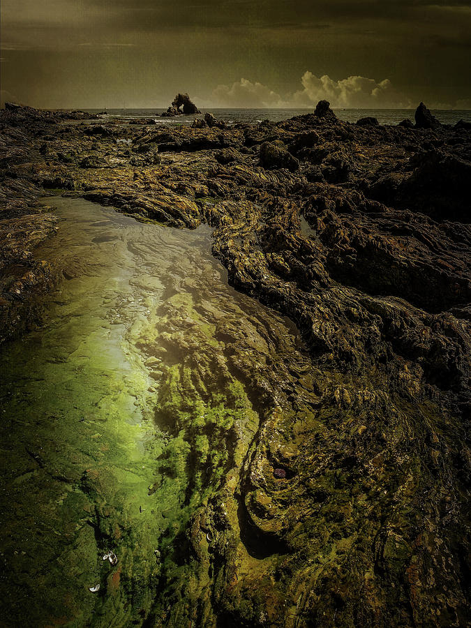 Little Corona del Mar Tidal Pool Photograph by Norma Brandsberg - Fine ...