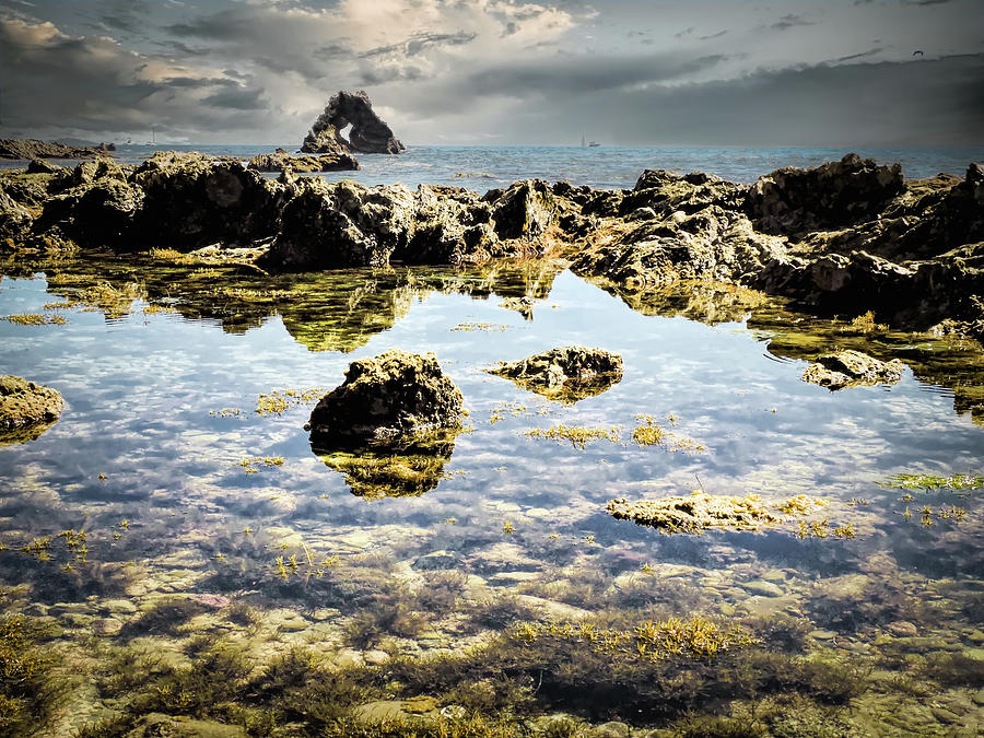 Little Corona del Mar Tidal Pools Photograph by Norma Brandsberg