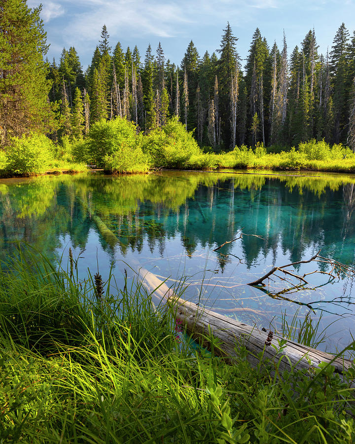 Little Crater Lake Photograph by David Birkbeck - Fine Art America