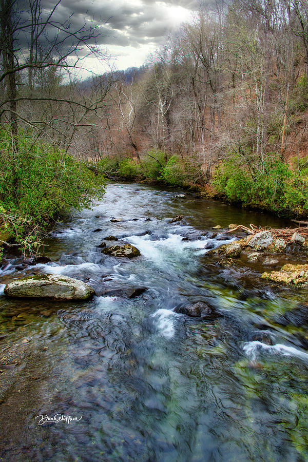 Little Creek Photograph by Don Schiffner