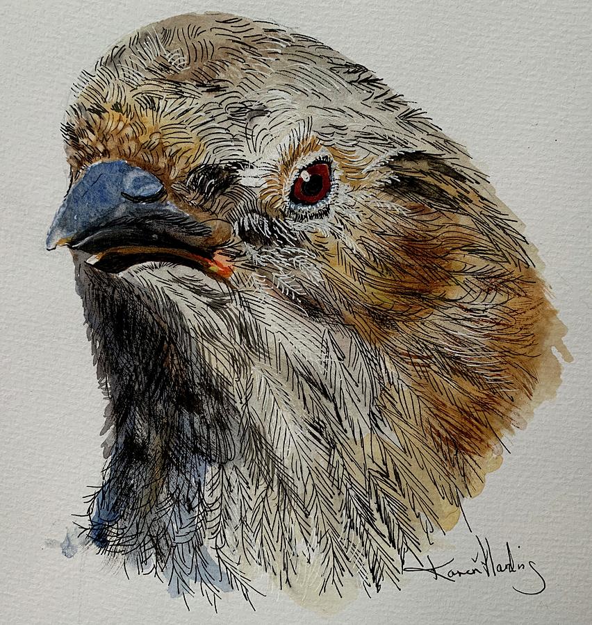 Little Dunnock Watercolor Painting