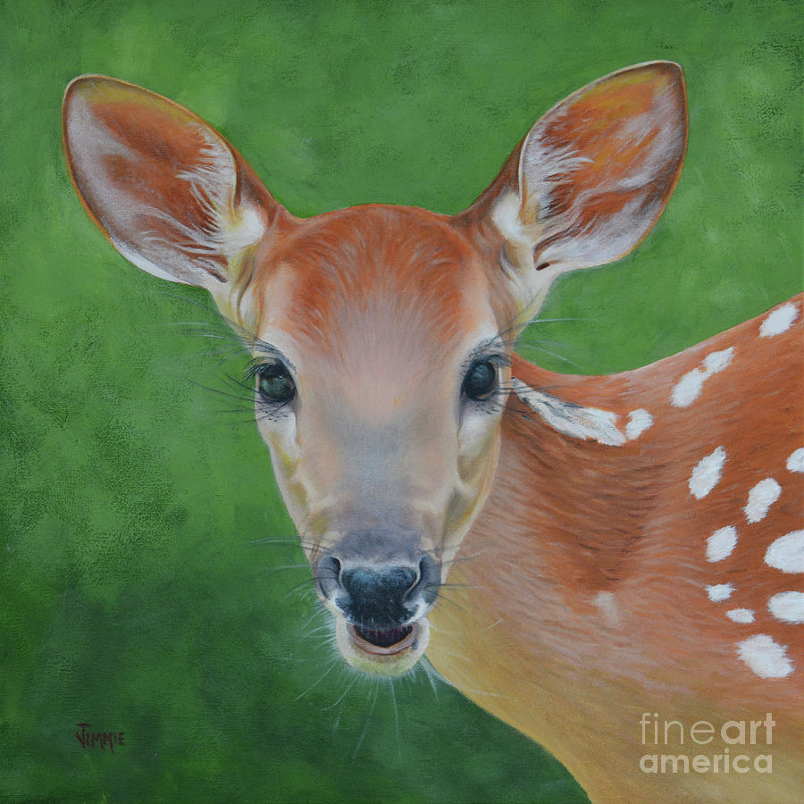 Little Fawn Painting by Jimmie Bartlett