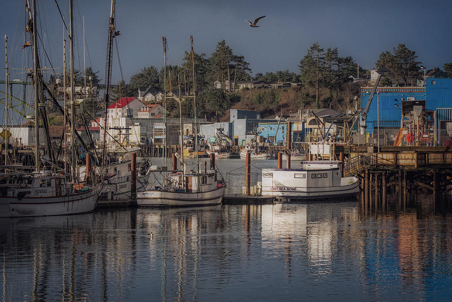 Little fishing village  Photograph by Bill Posner
