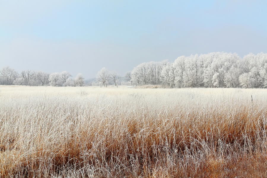 Little Frost On The Prairie Photograph by Lens Art Photography By Larry Trager