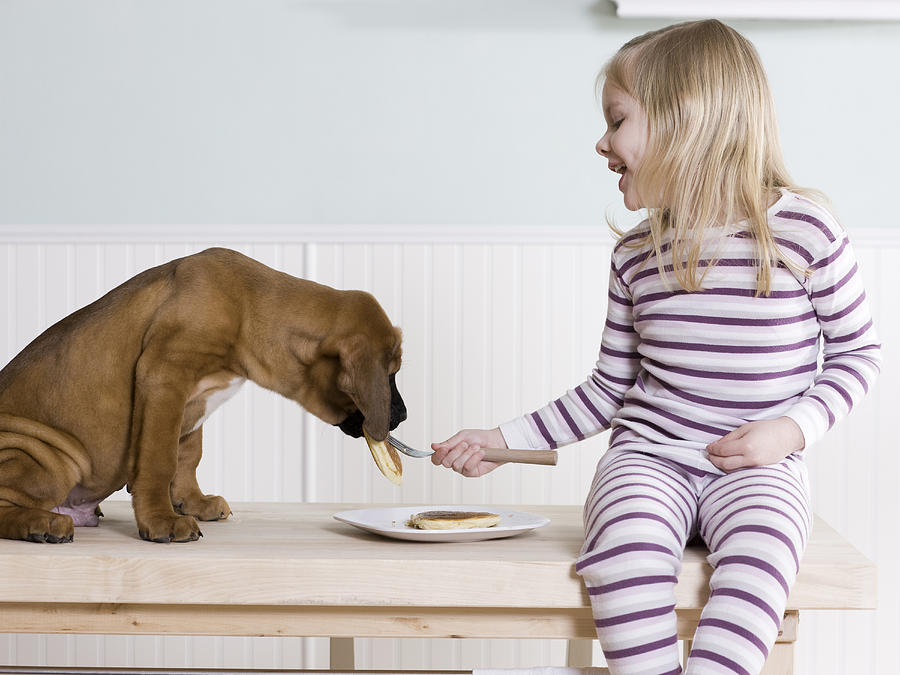 Little Girl Feeding Pancakes To Her Dog Photograph by RubberBall Productions