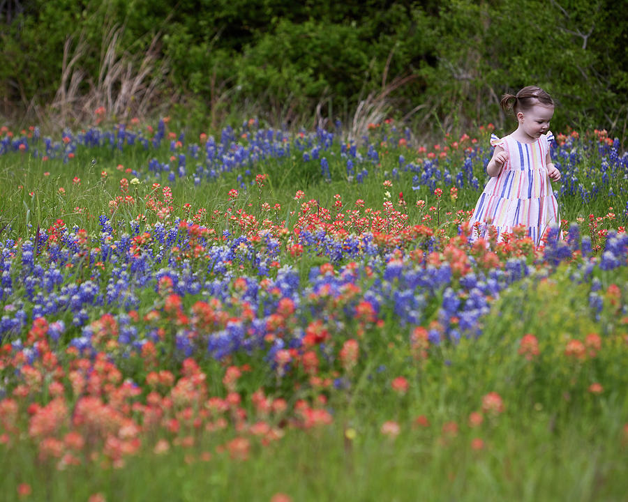 Little Girl in Field of Wildflowers Photograph by Gerard Harrison