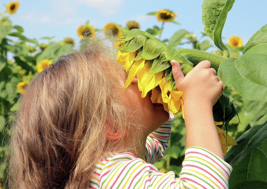 Little Girl Smelling Sunflower Photograph by Mikhail Kokhanchikov