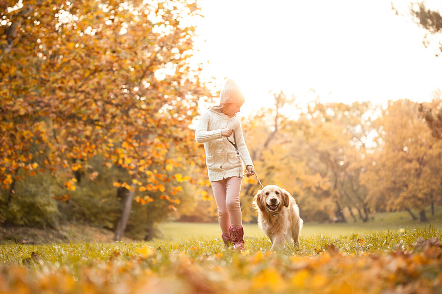 Little girl walking in the park with her dog Photograph by Fotostorm