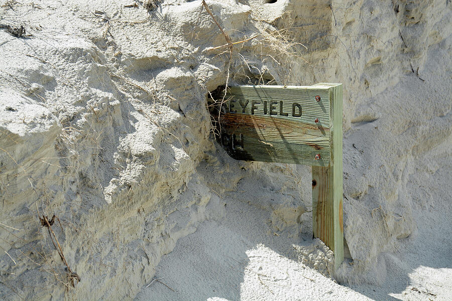 Beach Photograph - Little Greyfield Beach Sign on Cumberland Island by Bruce Gourley