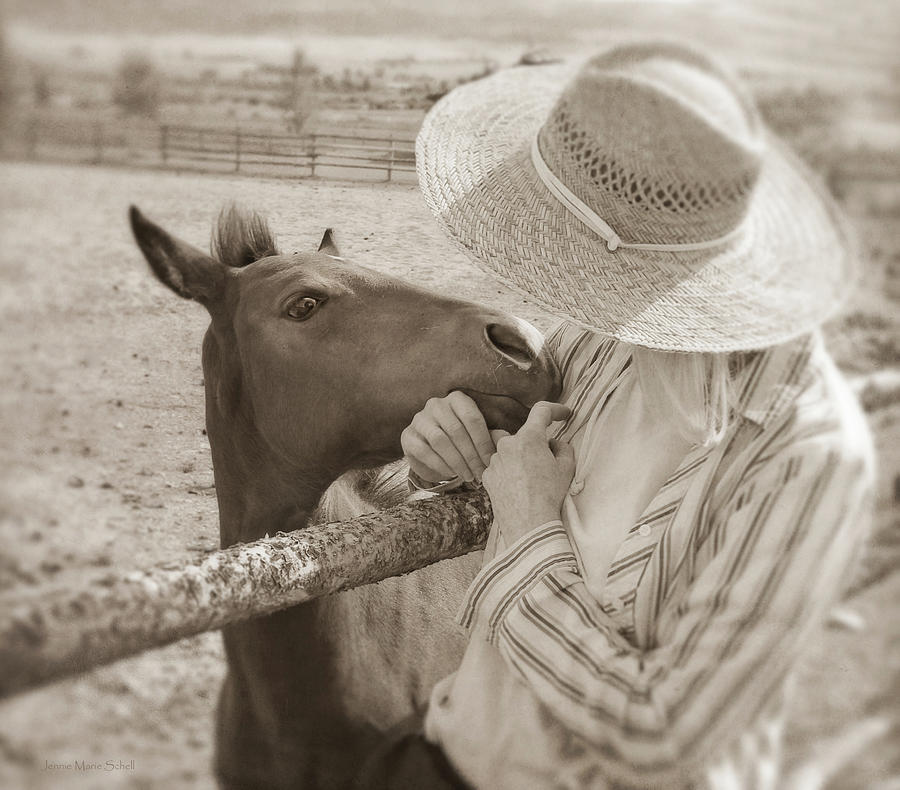 Little Horse and Woman Friendship Photograph by Jennie Marie Schell