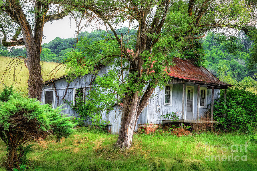 Little House on Tennessee Backroad Photograph by Shelia Hunt