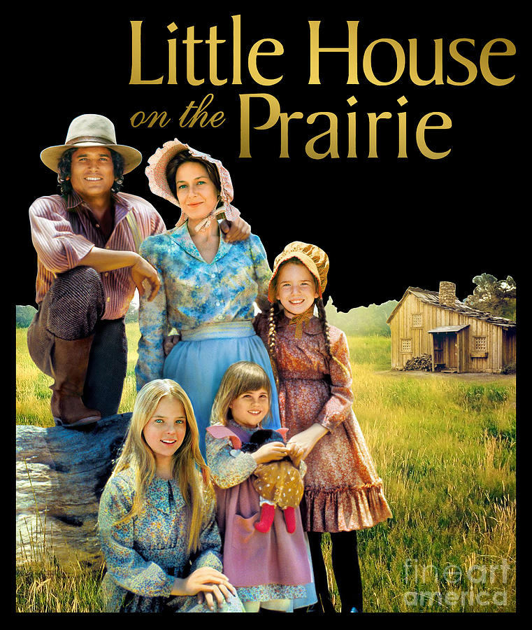 Little House On The Prairie Digital Art by Anto Ali - Pixels