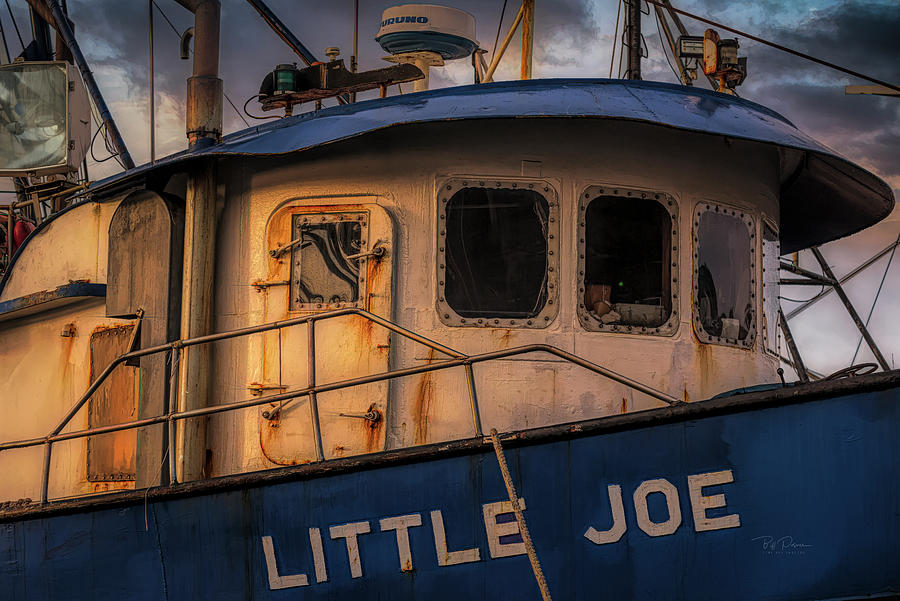 Little Joe Photograph by Bill Posner