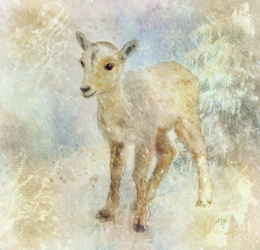 Little Lamb In The Snow Digital Art by Lois Bryan