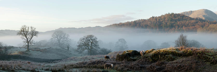 Little Langdale and skelwith bridge mist lake district Photograph by Sonny Ryse