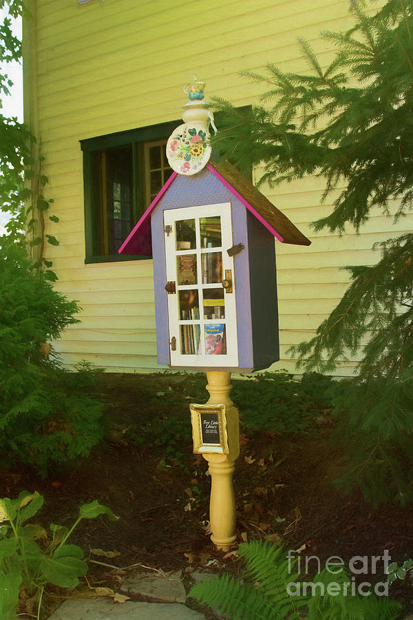 Little Lending Library Photograph by Marilyn Cornwell