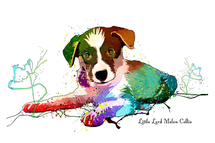 Little Lord Melon Collie Mixed Media by Miki De Goodaboom