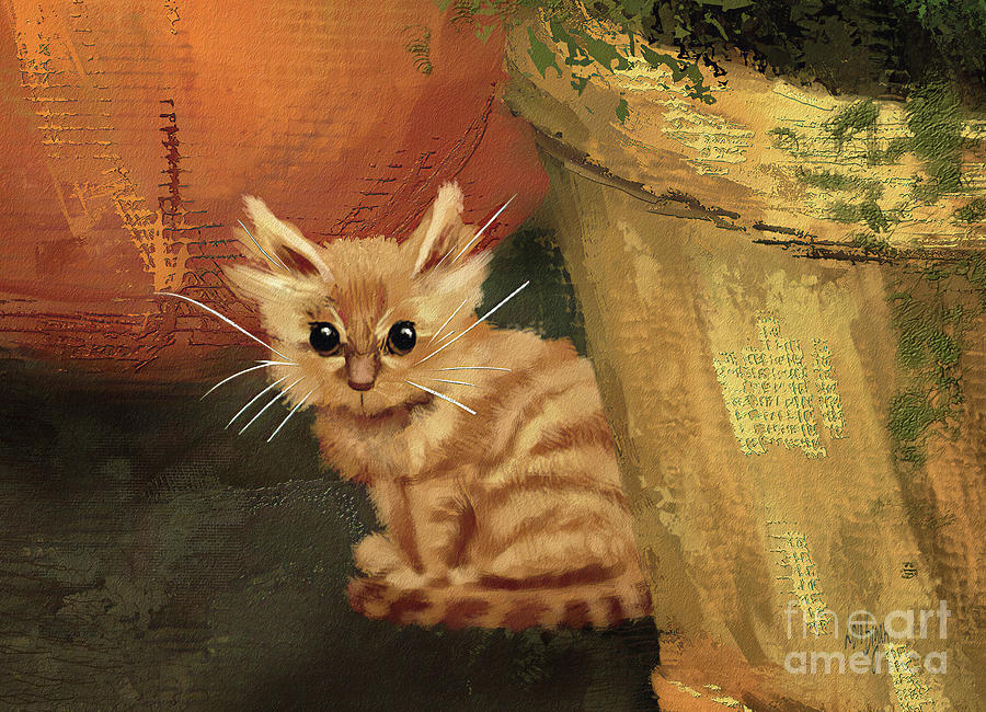 Little Lost Kitten Digital Art by Lois Bryan