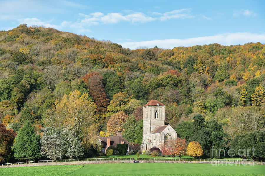Tree Photograph - Little Malvern Priory and the Malvern Hills in the Autumn by Tim Gainey