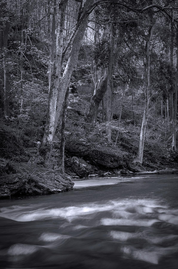 Little Miami River Black And White Photograph by Dan Sproul