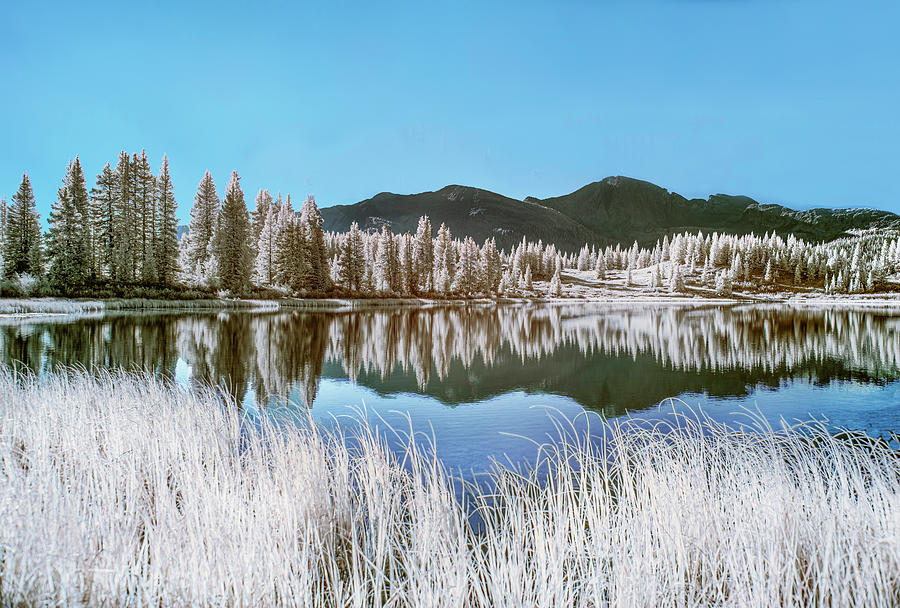 Little Molas Lake in Infrared Photograph by Gordon Ripley